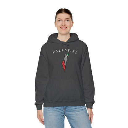 Palestine - Unisex Hooded Sweatshirt