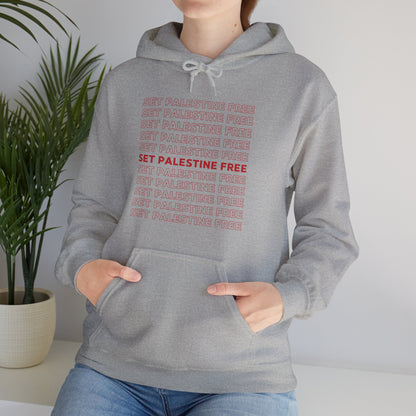 Set Palestine Free - Unisex Hooded Sweatshirt