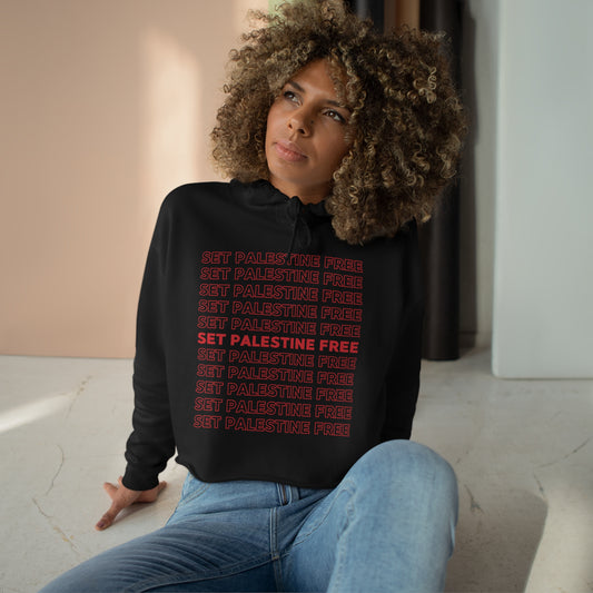 Set Palestine Free - Crop Hoodie