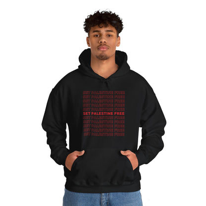 Set Palestine Free - Unisex Hooded Sweatshirt