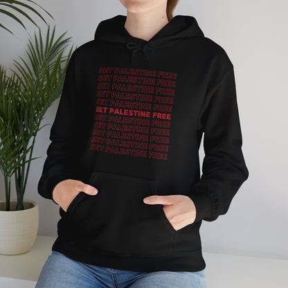 Set Palestine Free - Unisex Hooded Sweatshirt
