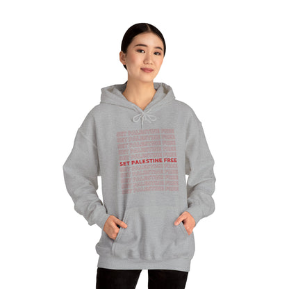 Set Palestine Free - Unisex Hooded Sweatshirt