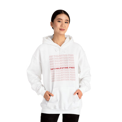 Set Palestine Free - Unisex Hooded Sweatshirt