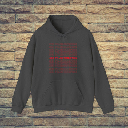 Set Palestine Free - Unisex Hooded Sweatshirt