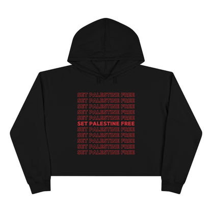 Set Palestine Free - Crop Hoodie