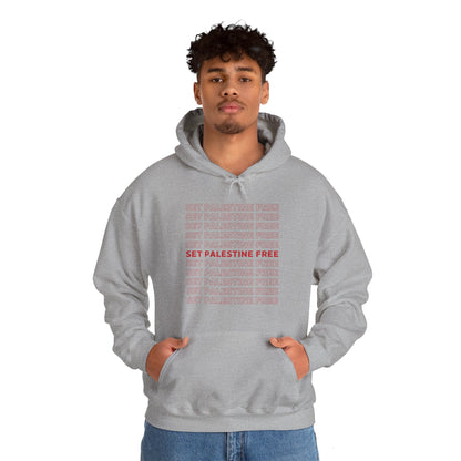 Set Palestine Free - Unisex Hooded Sweatshirt
